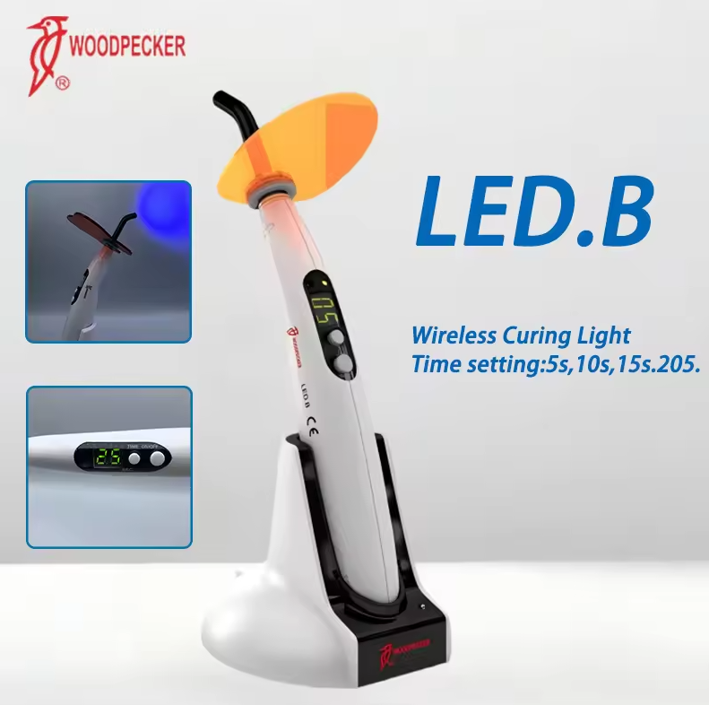 Dental Curing Light Woodpecker - đánh giá và giá Teeth Whitening Kit