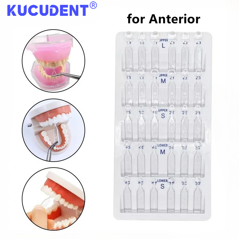 30pcs/Set Dental Veneer Mould  - đánh giá và giá Teeth Whitening Moulds
