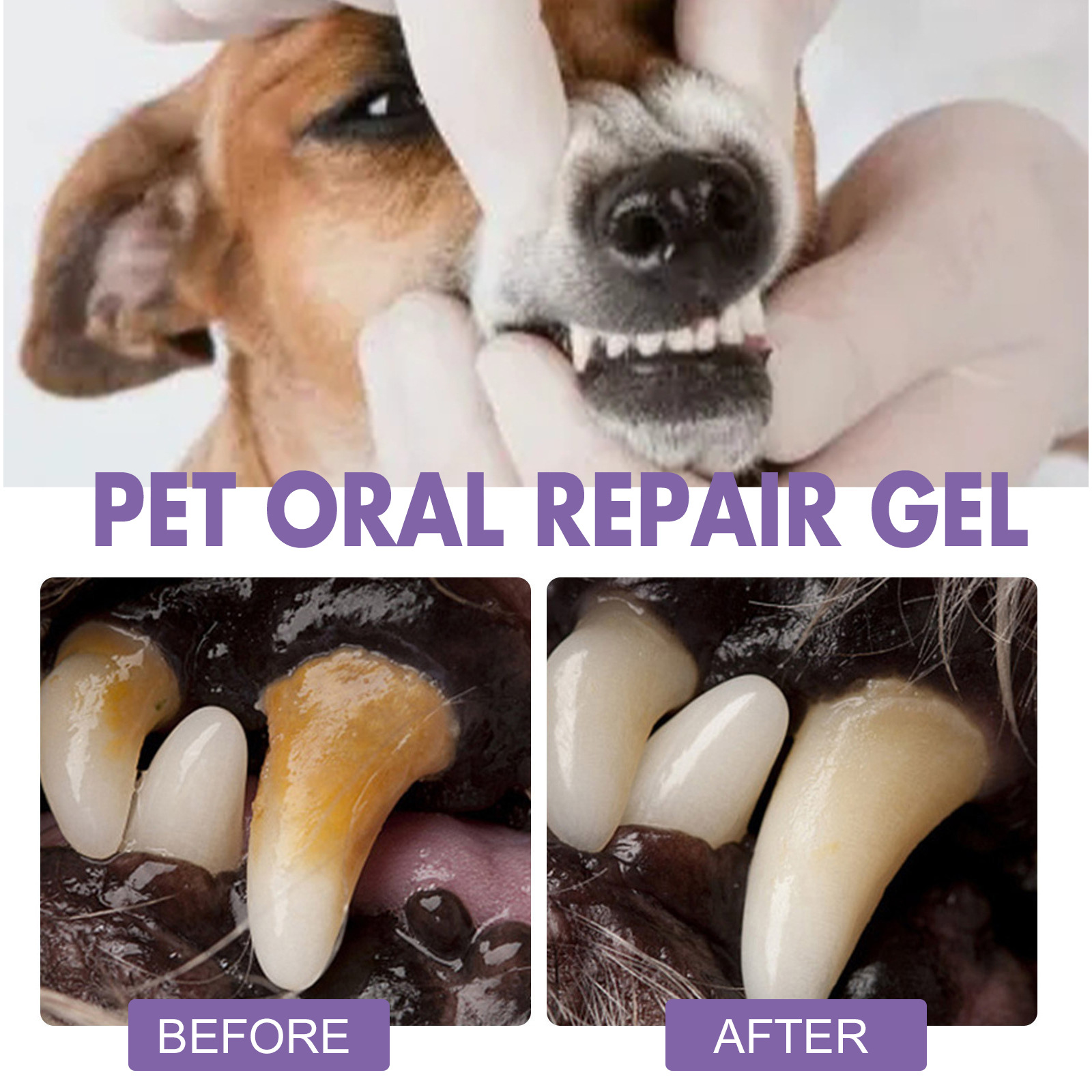 Pet Oral Repair Gel Puppy Tart - đánh giá và giá Teeth Whitening Near Me