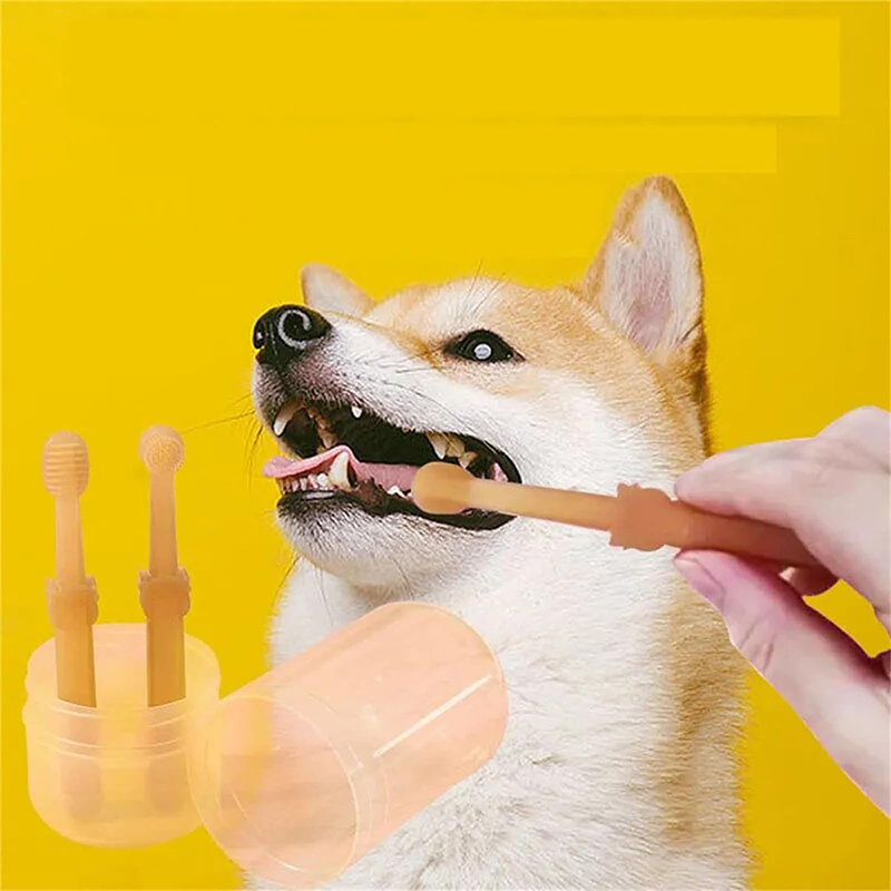 Teeth Whitening Dog Cat Silico - đánh giá và giá Teeth Whitening Kit