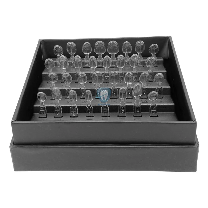32pcs/Set Dental Veneer Mould  - đánh giá và giá Teeth Whitening Moulds