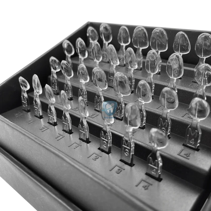 32pcs/Set Dental Veneer Mould  - đánh giá và giá Teeth Whitening Moulds