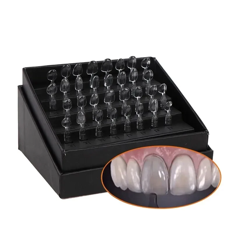 32pcs Dental Veneer Mould Kit  - đánh giá và giá Teeth Whitening Kit
